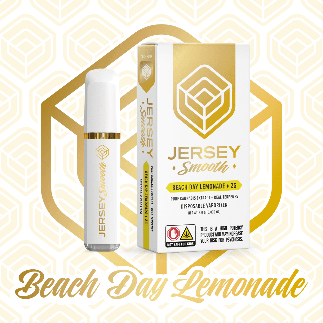 Beach Day Lemonade 2g AIO