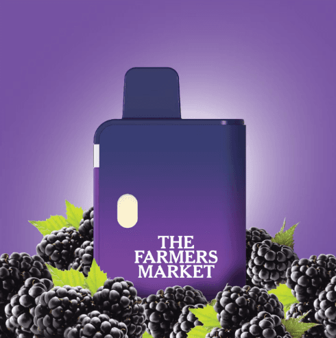 Blackberry Gelato 1g AIO