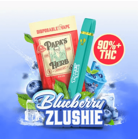 Blueberry Zlushie 1g AIO