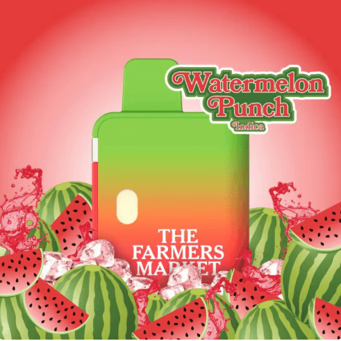 Watermelon Punch 1g AIO