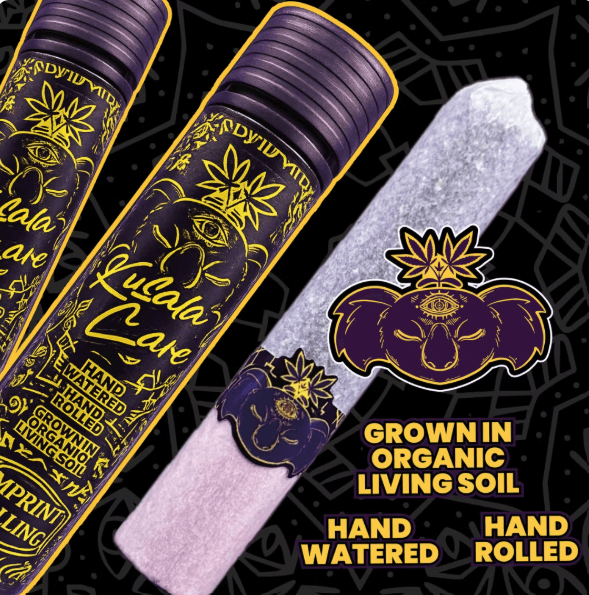 Koala Kush 1.75g Organic Living Soil Handroll