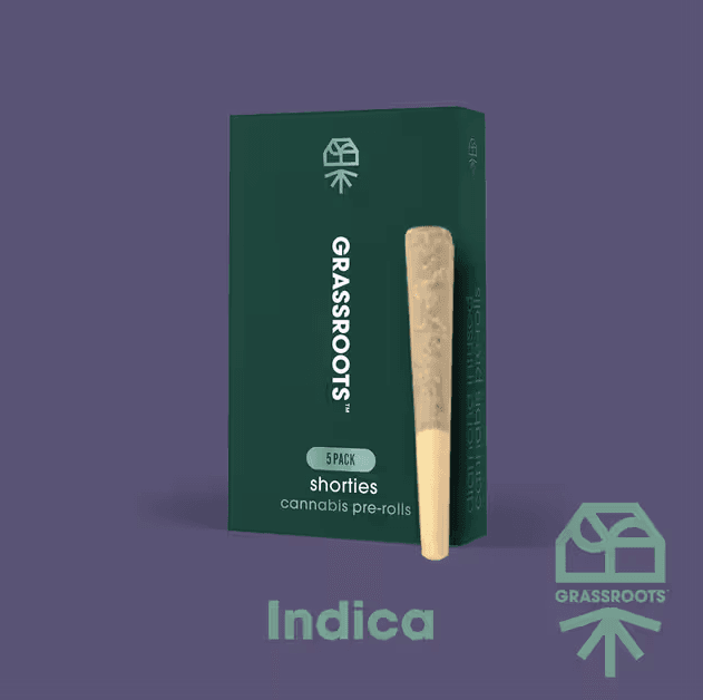 Pillow Mints 5pk/2g Prerolls