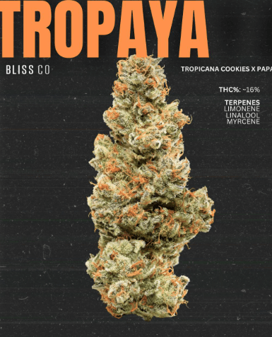 Tropaya 7pk/4.9g Prerolls