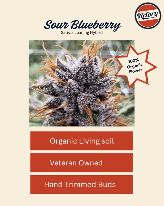 Sour Blueberry 7g