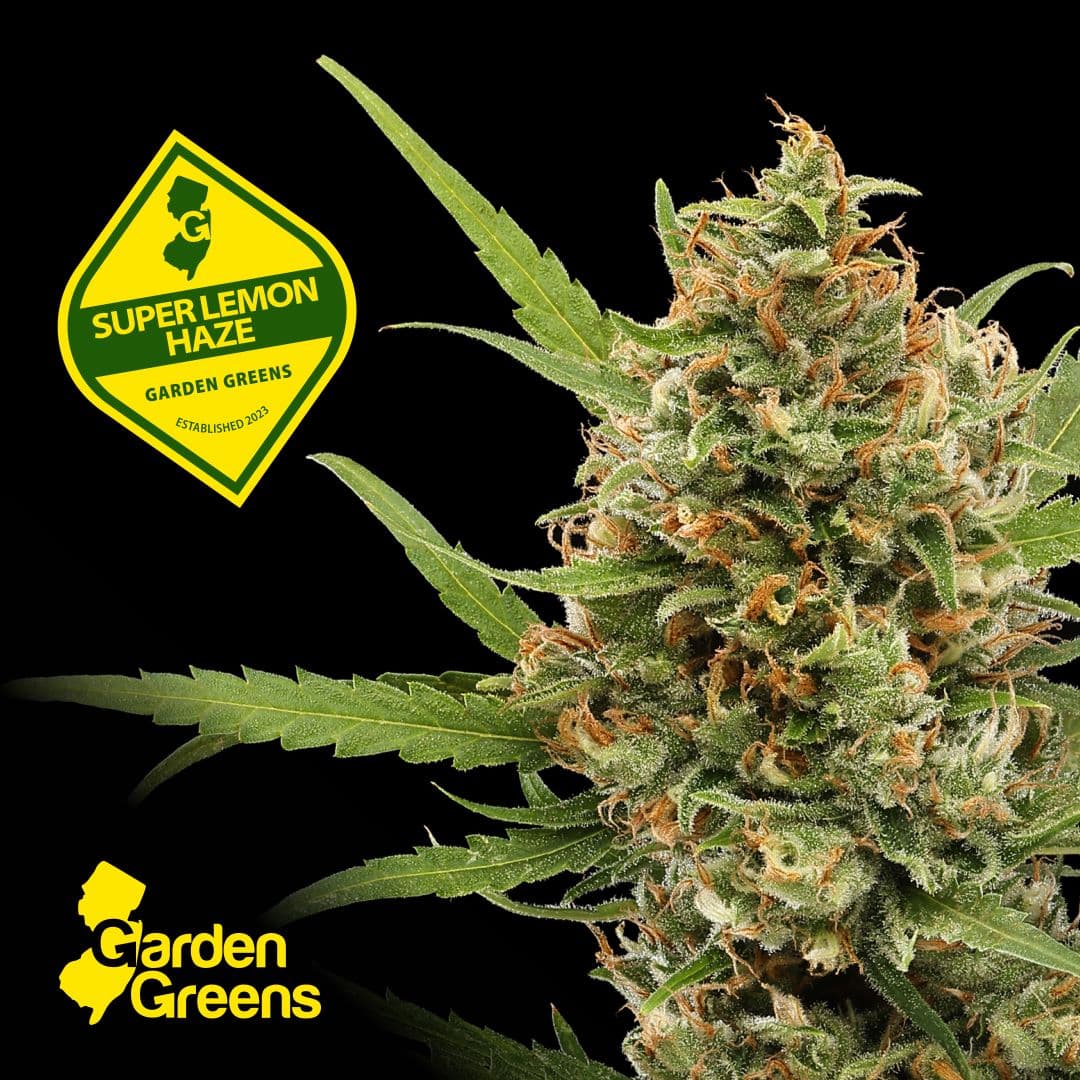 Super Lemon Haze 3.5g